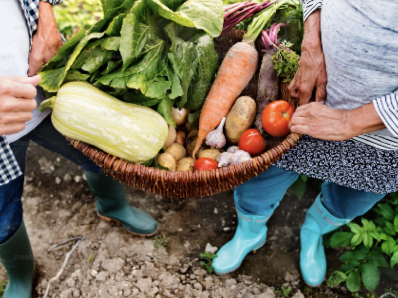 Gardening for a Better Future